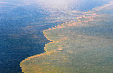 Bay scientists: Offshore oil drilling would put Chesapeake Bay at risk